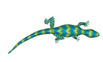 LIzard.gif