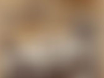 Vida em Jogo: Desvendando os Mistérios do Tribunal do Júri no Brasil