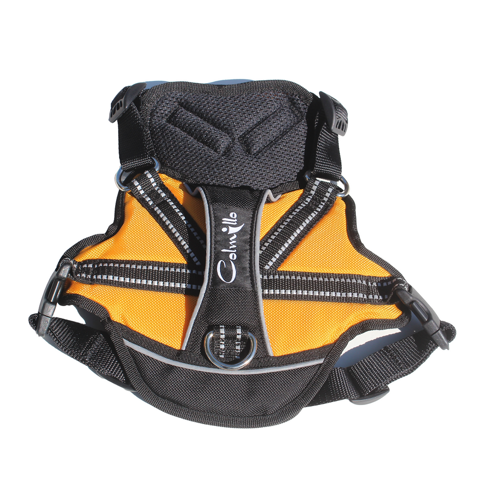 Thumbnail: TrailBlazer Harness
