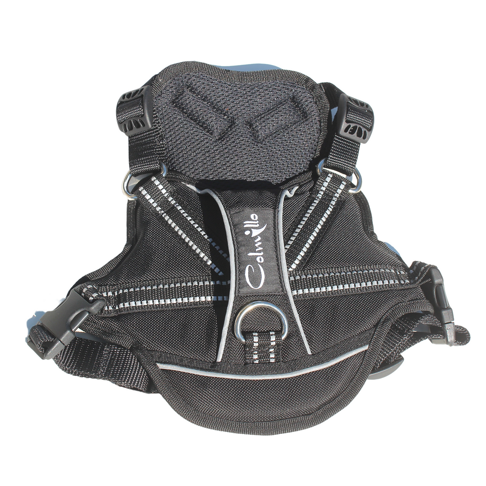 Thumbnail: TrailBlazer Harness