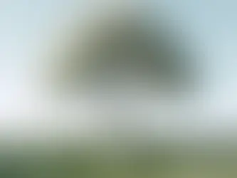 العرب وضعت للزواج ألف اسم!