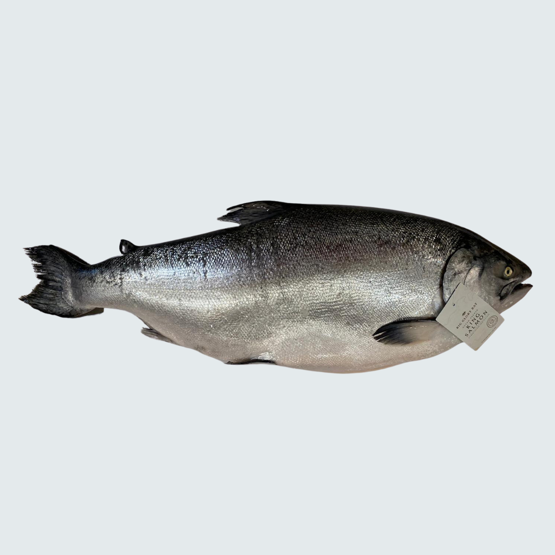 King Salmon (New Zealand)
