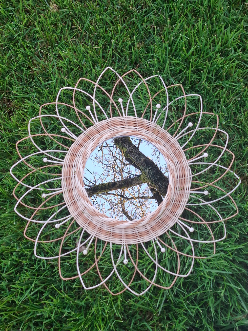 Miniature : Miroir de printemps 