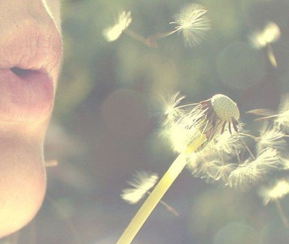 Jornada de Bioenergética "Deseos y Gratitudes"