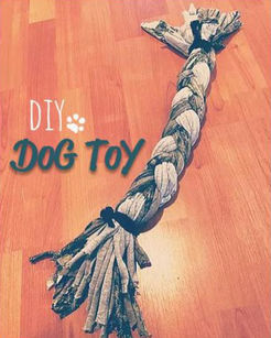DIY! Turn your old tees into dog toys!