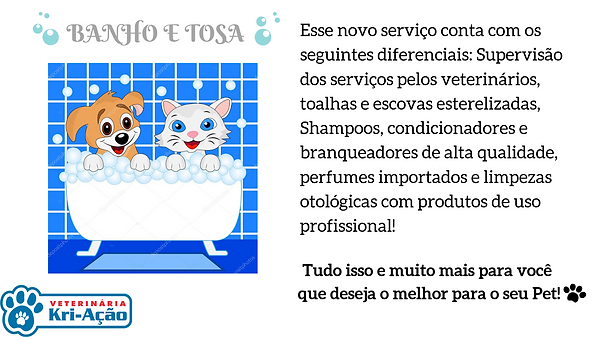 Copy of Copy of Dr. Fabiano Rubem.png