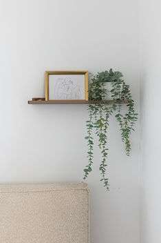 מדף עם צמח ותמונה 