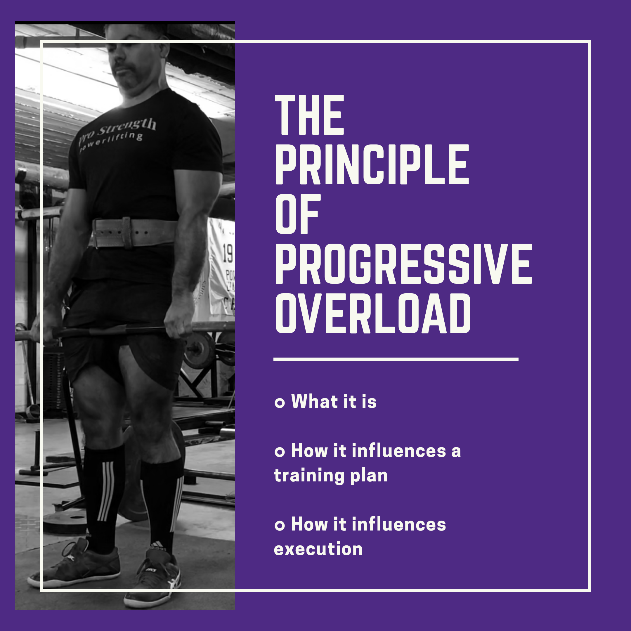 overload principle overload principle