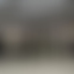 Sternlitest Februar 2024