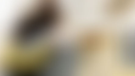 Now is the Best Time to Move up to Your Dream Home! Here’s Why: