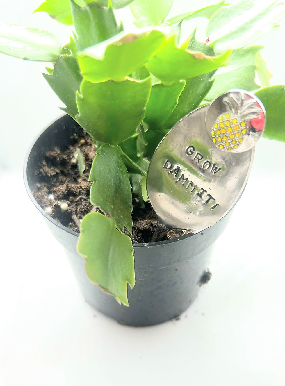 Thumbnail: Custom Plant Stakes