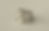 Thumbnail: Danish Princess Ring 1800’s