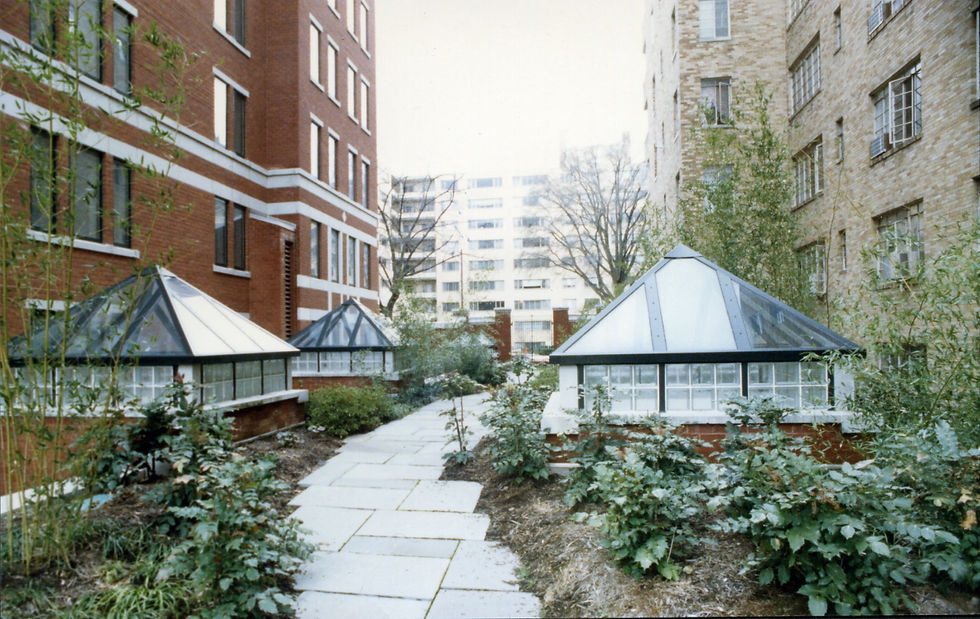 David M Schwarz: The Saratoga 1988