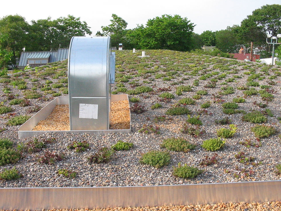 1210 green roof