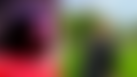  Ohio Costco worker shot to death by customer for telling him not to enter store with gun 