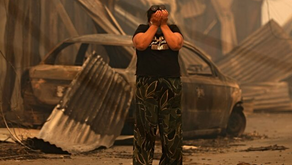 Chile Wildfires Leave at Least 19 People Dead, More Than 1,500 Affected