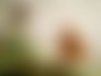 Queer Kid Stuff LGBTQ Channel Targets 3-Year-Olds with ‘Non-Binary’ Teddy Bear