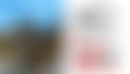  Philly Dem sentenced to 10 months in prison over threat to kill, 'skin alive' pro-Trump poll watcher 