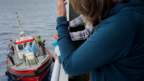 CDC: Risk of Cruise Ship Hantavirus Spreading to U.S. Public Is ‘Low’