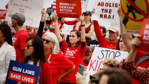 Moms Demand Action Candidate Pushes Semiautomatic Firearm Ban