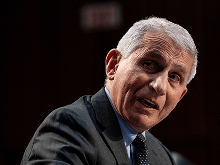 Anthony Fauci Reverses Course Yet Again: Now ‘Highly Likely’ Chinese Coronavirus Developed Naturally