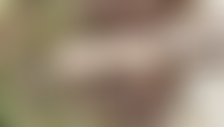 Virginia Democrats Take Office, Immediately Set Sights on Second Amendment