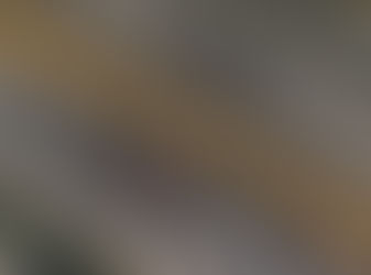 “Peaceful Protester” Arrested for Attempted Murder after Shooting 2 Demonstrators in Colorado