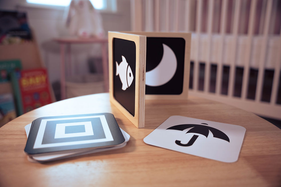 Thumbnail: Mirror and High Contrast Card Book