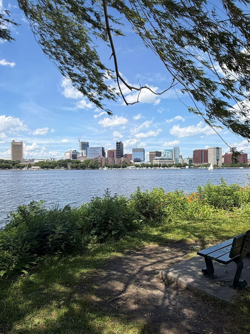 Boston Esplanade views of the city