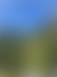 A Luxe Guide to Europe’s Most Effortless Escapes