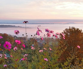 Schilcherland Wanderreise 