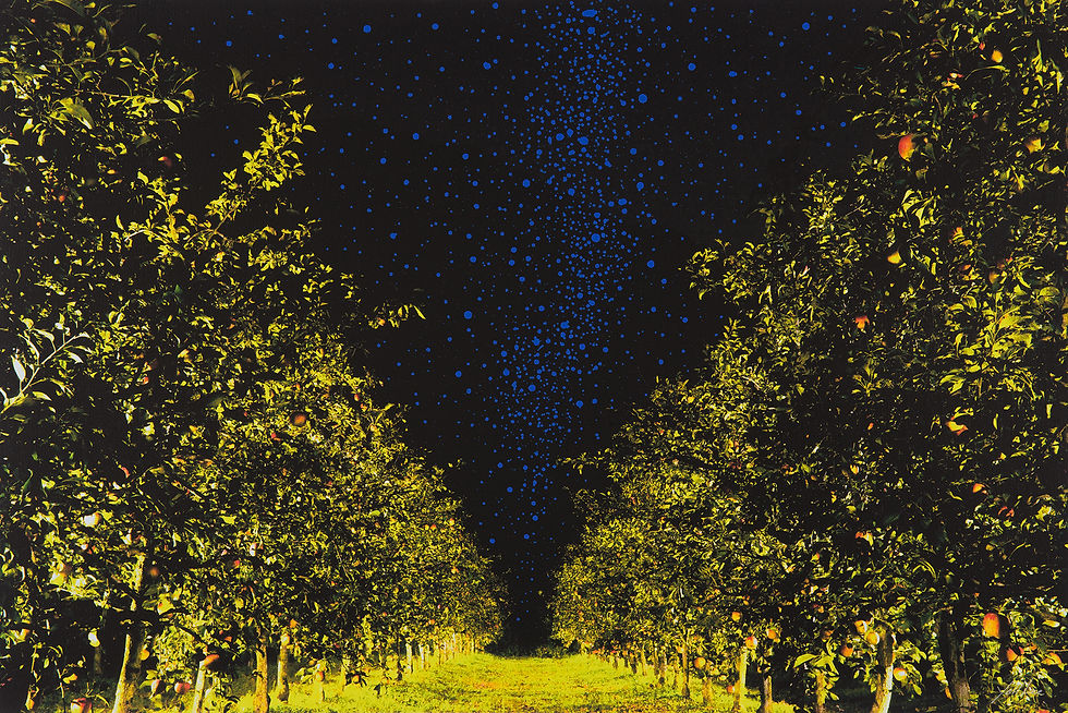 Dreaming tree