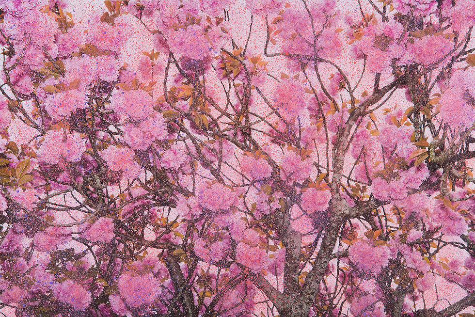 Dreaming tree