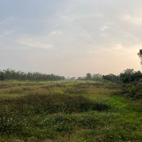 台湾レポート 導入編