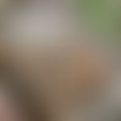 パッケージ支援