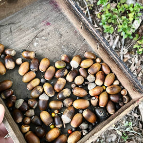 パッケージ支援