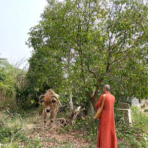 台湾レポート 教育編1 福智の話
