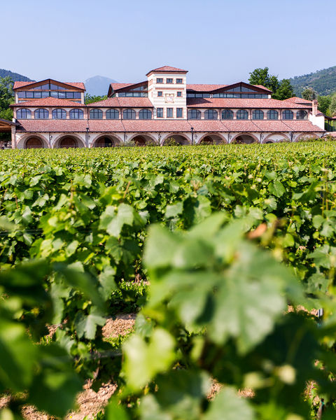 Corte-Aura-Franciacorta-5.jpg