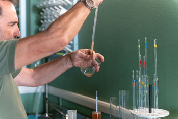 Corte-Aura-Franciacorta-vinification.jpg