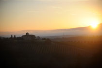 Decugnano-dei-Barbi-umbria-4.jpg