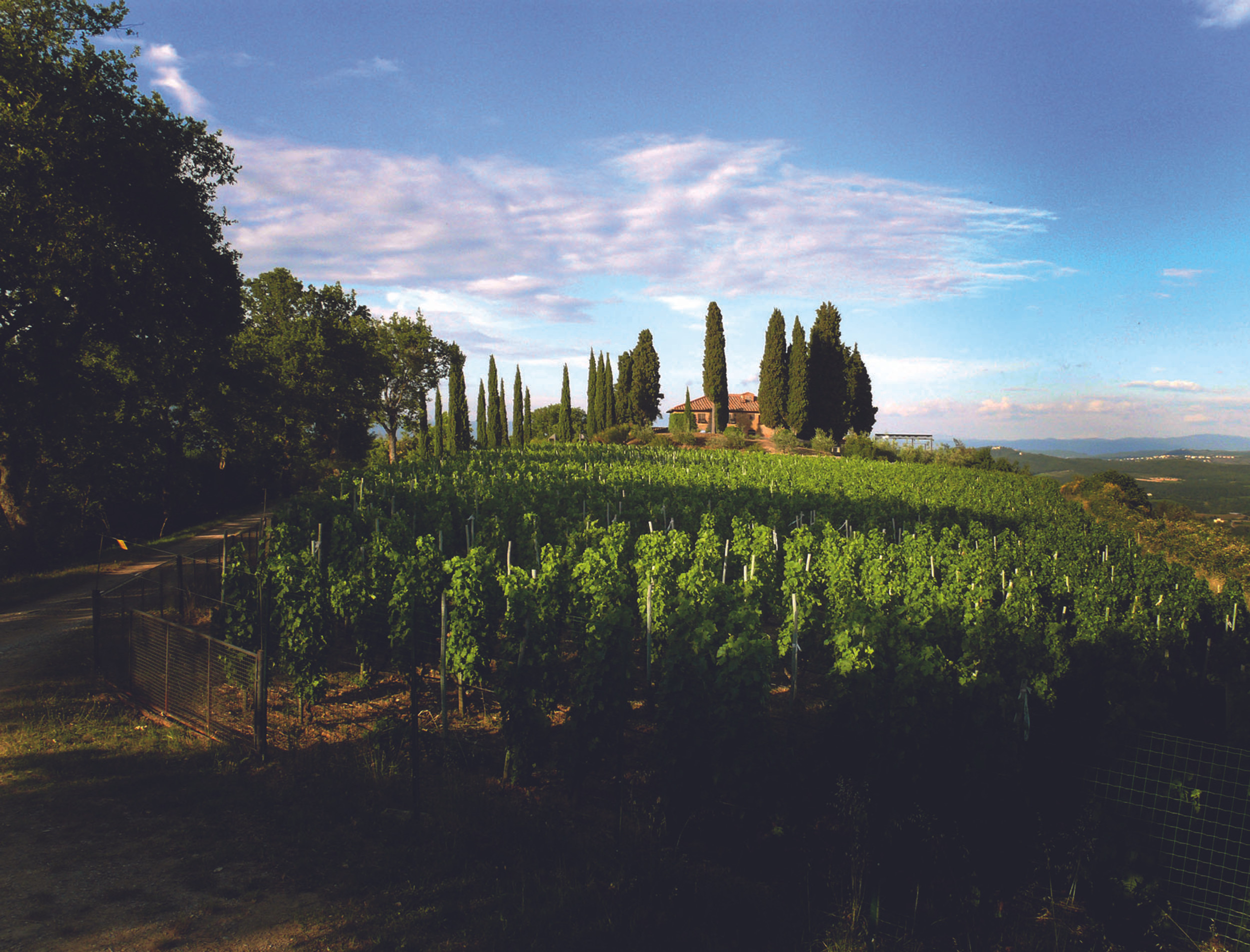 Podere Il Carnasciale | Vineland - Wine Export Agency Asia