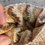 Thumbnail: Oak Leaves Pouch, MINI