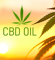 CBD Oil Guide.png