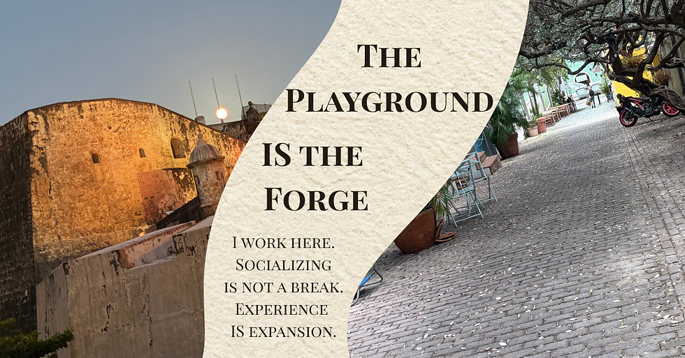 The Playground is the Forge