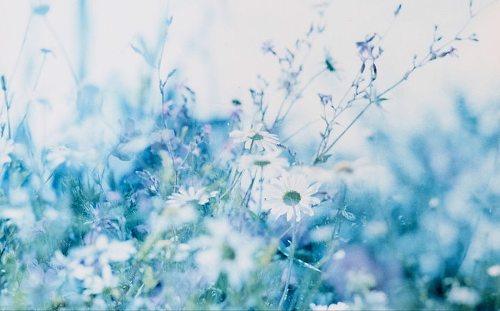 blue-meadow-annie-spratt.jpg