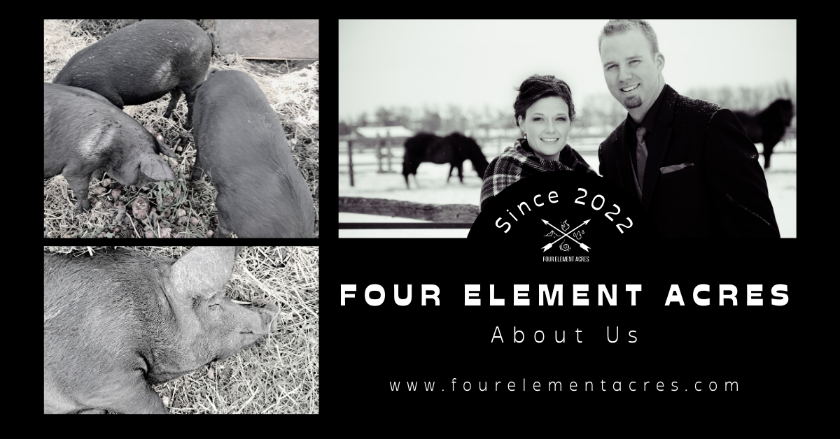 About Us Four Element Acres Family Farm Smoky Lake County