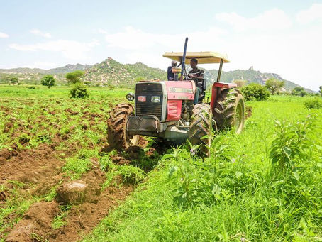 Farming Plots Available in Faisalabad