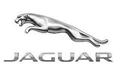 jaguar.jpg
