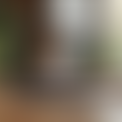 The Benefits of Virtual Ayurvedic Consultations