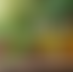 Ayurvedic Infertility Treatment: A Natural Path to Fertility